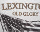 Lexington Cottage Collection, Old Glory Sham 50x50 - bild 2