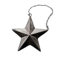 Nordal Star Medium Silver finish